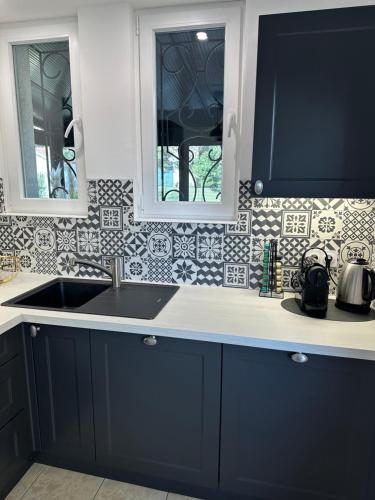 a kitchen with blue cabinets and a sink at Villa avec Spa & Sauna, Évasion in Béziers