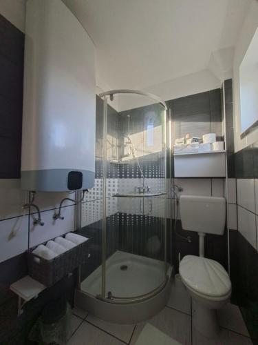 a bathroom with a shower and a toilet at Corddora Apartman in Mezőkövesd