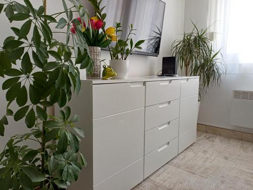 Apartment SpringJoy