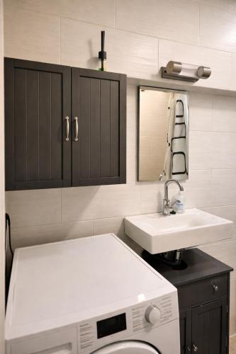 a bathroom with a sink and a washing machine at The Old Coach Retreat in Rheinfelden
