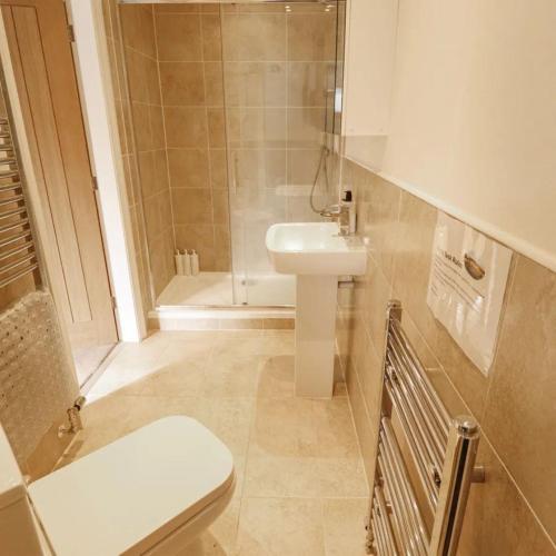 a bathroom with a toilet and a sink and a shower at Butterswood Lakes in Goxhill