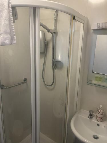 a bathroom with a shower and a sink at Dacara Bed & Breakfast in Newcastle