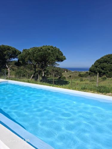 a blue swimming pool with a view of the ocean at Meco Beach House in Sesimbra