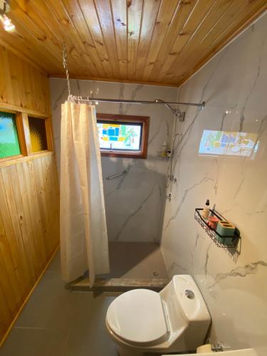 a bathroom with a toilet and a shower at Hermoso Loft Amoblado Sector Oriente Talca in Talca