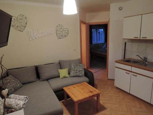 a living room with a couch and a table at Haus Pfeiffenberger in Eben im Pongau