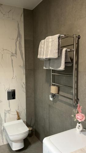 a bathroom with a toilet and towels on a wall at Апартаменти над каньйоном in Kamianets-Podilskyi
