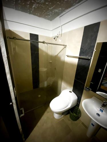 a bathroom with a shower and a toilet and a sink at Palmeras 2 in Manizales