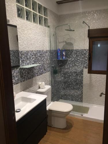 a bathroom with a toilet and a shower and a sink at Casa Rivera Río Jucar in Valdeganga