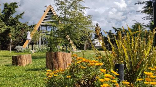 DREAM house by the sea in COCOland