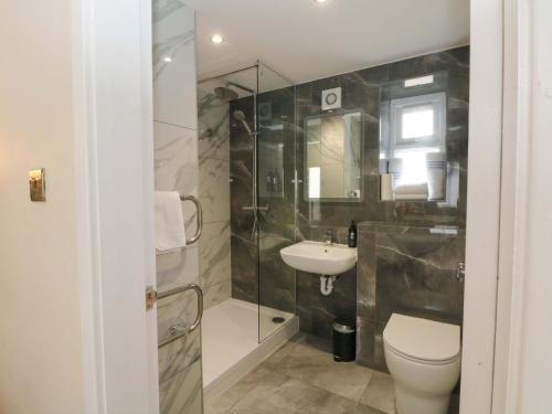 a bathroom with a toilet and a sink and a shower at Hedgehog Lodge in Chorley