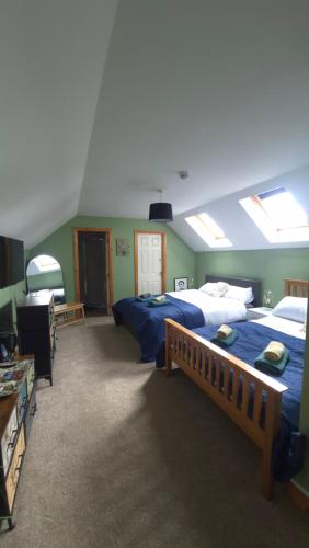 a large bedroom with two beds and a television at Brady Accommodation in Monaghan