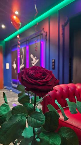 Love room - Xtase By luxuria Cannes photo 10