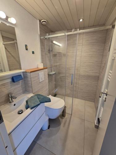 a bathroom with a shower and a toilet and a sink at Drømmehus Ferienwohnungen in Nørre Nebel