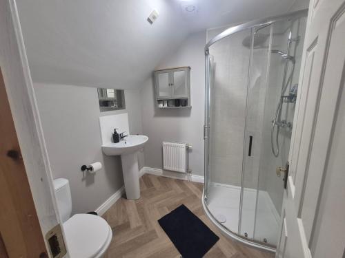 a bathroom with a shower and a toilet and a sink at Brady Accommodation in Monaghan