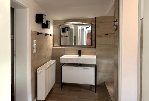 a bathroom with a sink and a mirror at Waldhaus zur Kleinbahn in Glashütte