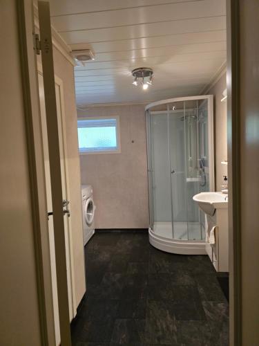 a bathroom with a shower and a sink and a toilet at Hamrebakken overnatting in Kvinesdal