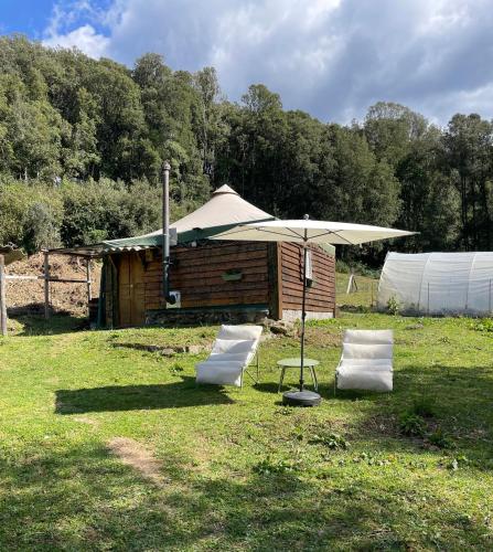 Cabane 2