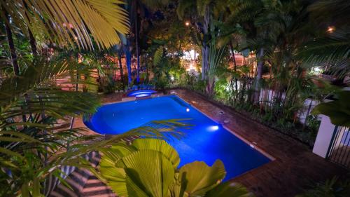 an overhead view of a swimming pool with plants at Tropic Towers Apartments in Cairns