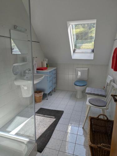 a bathroom with a shower and a sink and a toilet at Pension Eltmann in Eltmann
