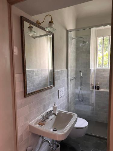 a bathroom with a sink and a toilet and a shower at Little Garden House in Cernobbio