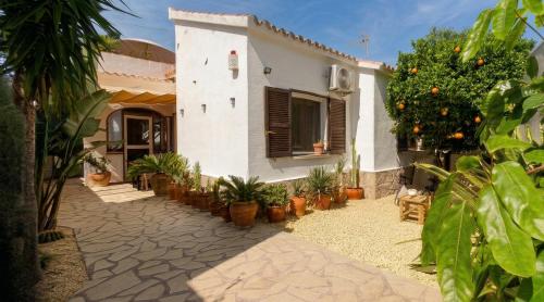 a house with a christmas tree in front of it at Casa el Montcel, a unique chalet with roofterrace and shared pool in Denia