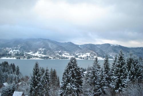 a view of a lake with snow covered trees and mountains at Pensiunea Encian in Colibiţa