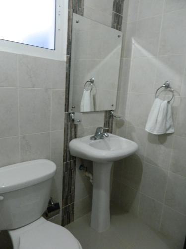 a bathroom with a toilet and a sink and a mirror at Residencial Vista Del Bosque in Santiago de los Caballeros
