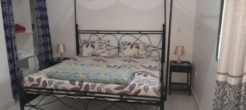 a bedroom with a bed with a metal frame at Villa Shérazade in Saint-Louis
