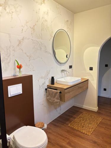 a bathroom with a sink and a mirror at Snow&Rose in Damme