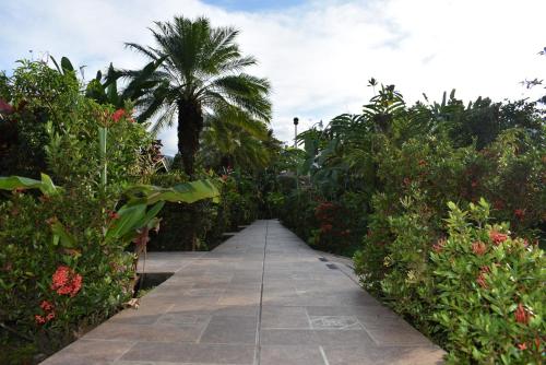 Giardino di Hotel Roca Negra Del Arenal