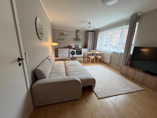 a living room with a couch and a television at Charming studio apartment in the heart of Nørrebro, Copenhagen in Copenhagen