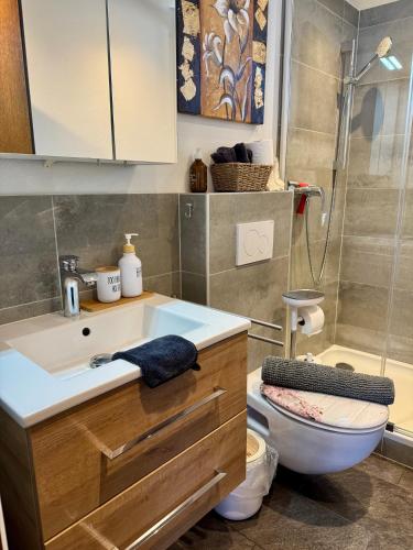 a bathroom with a toilet and a sink and a shower at Charmantes Rustico La Vedetta mit Terrasse in Minusio