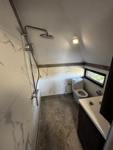 a small bathroom with a toilet and a sink at Sumadijski ranc-Brvnara in Brestovac