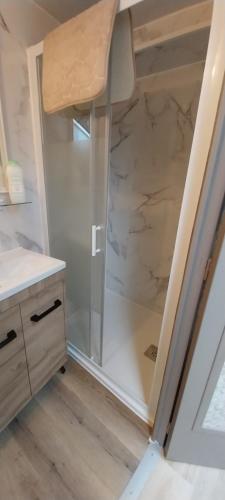 a bathroom with a shower and a sink at Studio Arc en Ciel in Bouguenais