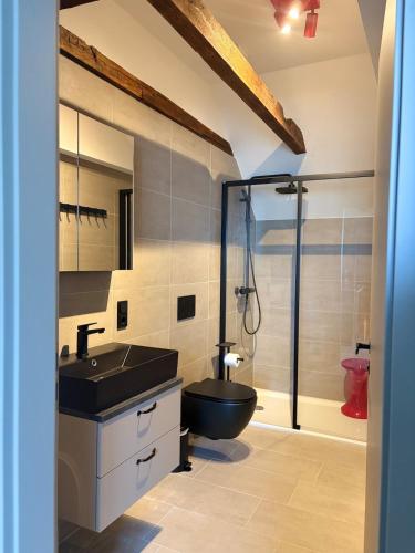 a bathroom with a toilet and a sink and a shower at Hafen33 in Leer