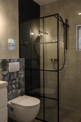 a bathroom with a toilet and a glass shower at Velebit Escape Apartments in Starigrad