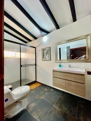 a bathroom with a toilet and a sink and a mirror at Finca Premium en el Eje Cafetero in Ulloa