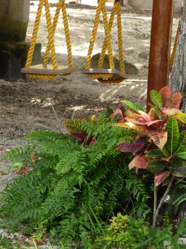 a group of three swings in a garden with plants at Cabañas Zoh Laguna Calakmul in Xpujil