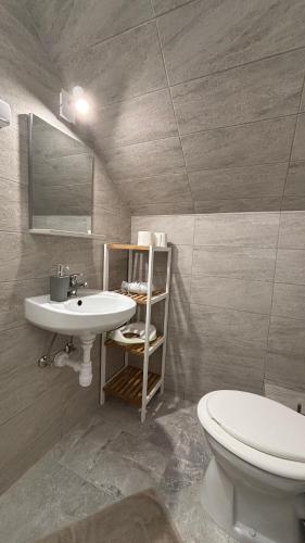 a bathroom with a sink and a toilet at Barka Vendégház Tisza-tó in Abádszalók