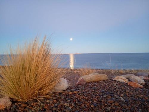 a beach with some grass and rocks and the ocean at Refugio Vegetariano El Mallín - sobre playa in Camarones
