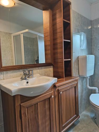 a bathroom with a sink and a toilet at Rooms Serafin in Motovun