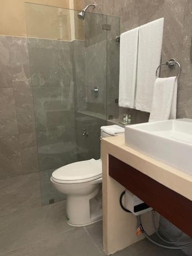 a bathroom with a toilet and a sink and a shower at Castelmar Hotel in Campeche