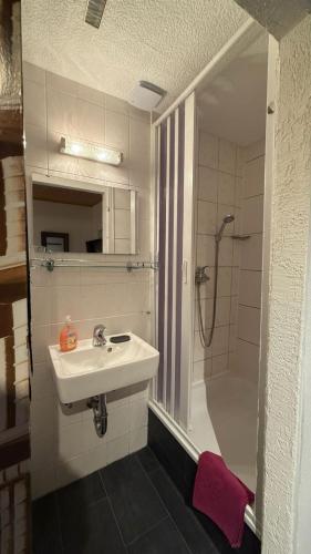 a bathroom with a sink and a shower at City B&B Cochem in Cochem