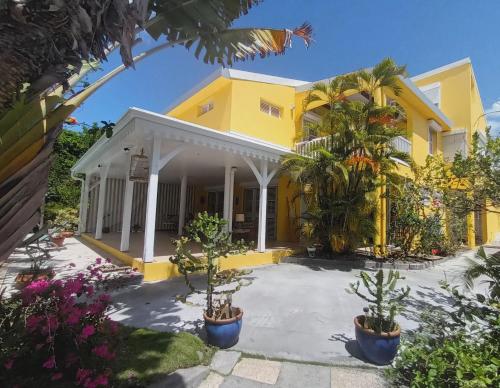 a yellow house with plants in front of it at Un séjour privilégié à La Villa Gialla chambre d'hôte et loft dans une maison de charme avec piscine à débordement in Schœlcher