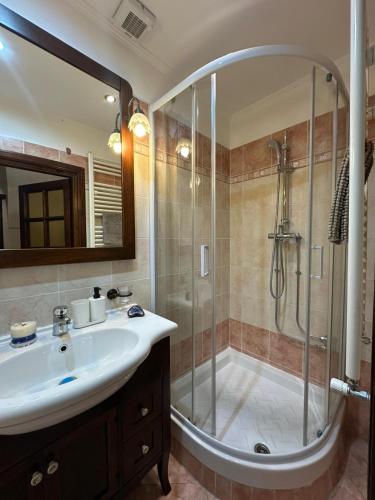 a bathroom with a sink and a shower at Il Dolce Rustico in Dolceacqua