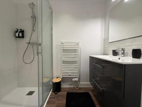 a bathroom with a shower and a sink at Appartement Cosy Trelazé in Trélazé