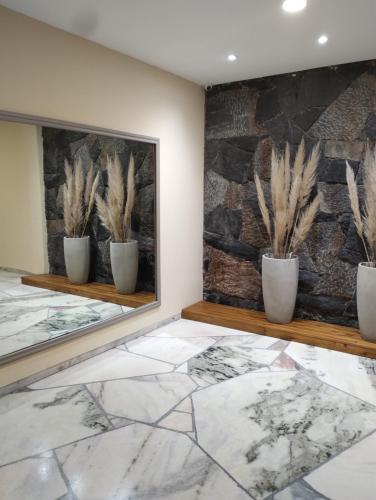 a room with three potted plants on display at La perla depto in Mar del Plata