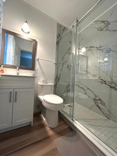 a bathroom with a shower and a toilet and a sink at Mountain View Motel in Barrys Bay
