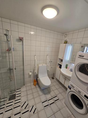 a bathroom with a toilet and a shower and a sink at Klaus torgårds vei 8b in Oslo