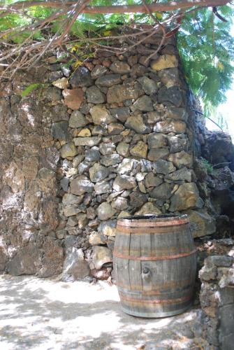 a wooden barrel in front of a stone wall at Apartamentos Finca Wapa in Frontera
